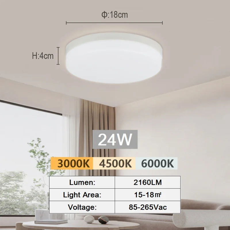 Modern Flush Mount Ceiling Light