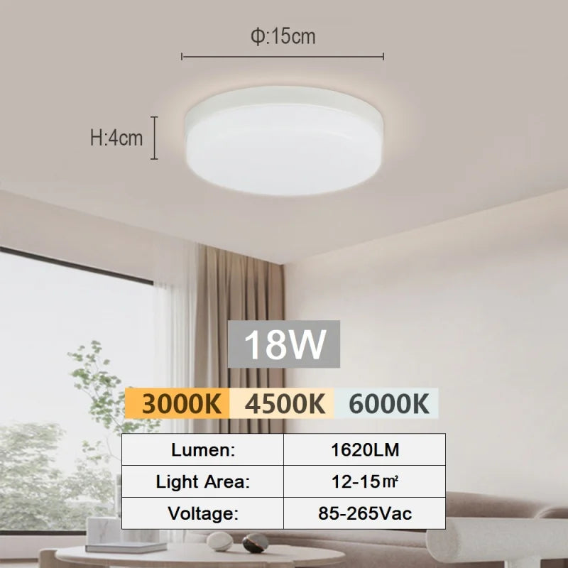 Modern Flush Mount Ceiling Light