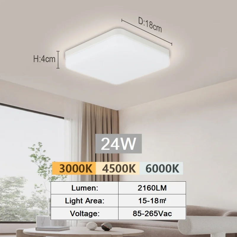 Modern Flush Mount Ceiling Light