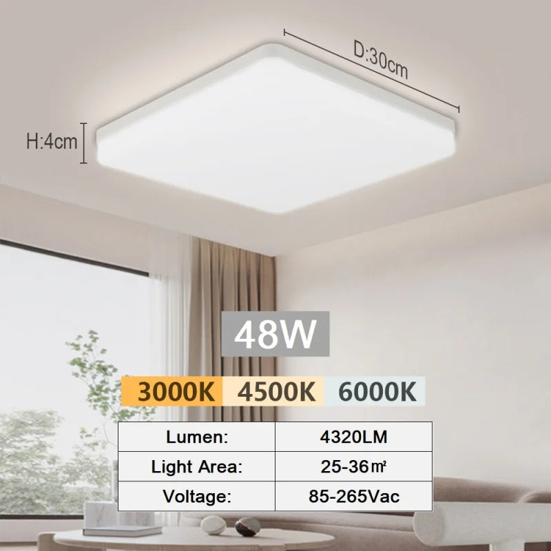 Modern Flush Mount Ceiling Light