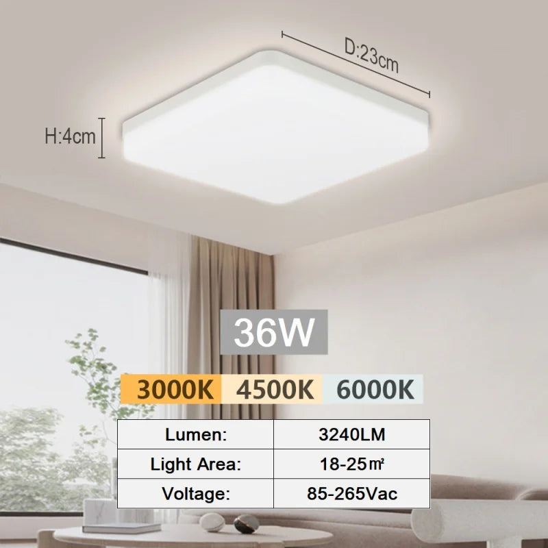 Modern Flush Mount Ceiling Light