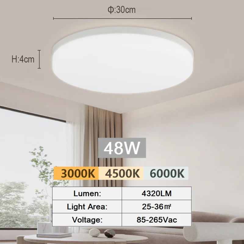 Modern Flush Mount Ceiling Light