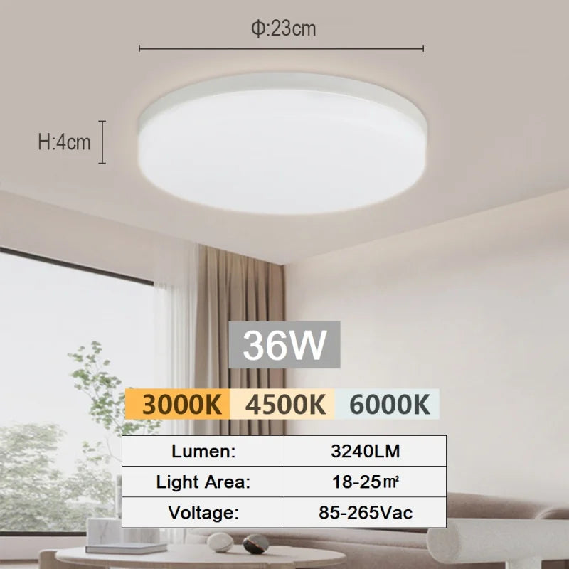Modern Flush Mount Ceiling Light