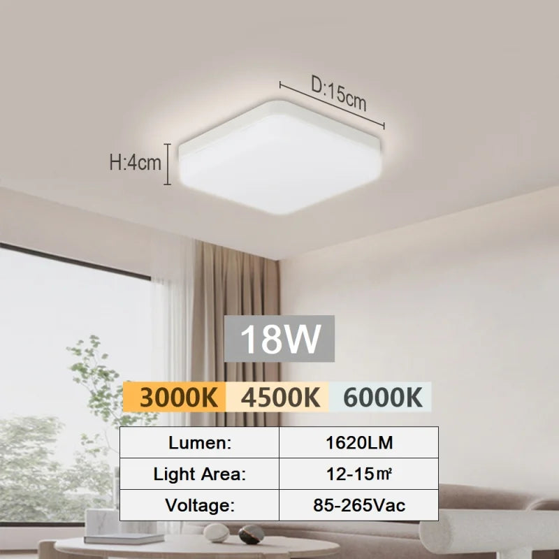 Modern Flush Mount Ceiling Light